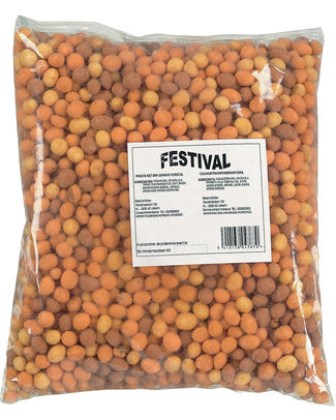festival.jpg